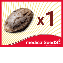 a) 1 seed to choose: THC,...