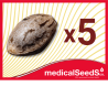 a) 5 seeds to choose: THC, CBD or Auto