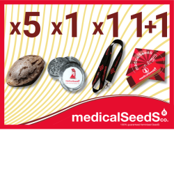 b) 5 semillas + grinder +...