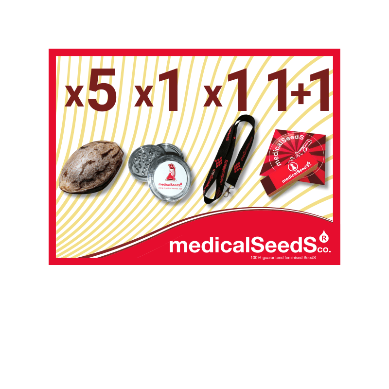 b) 5 seeds + grinder + lanyard + sticker and filters
