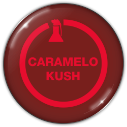 Caramelo Kush