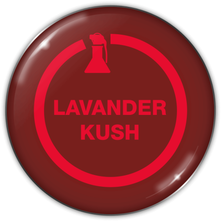 Lavander Kush