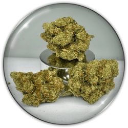 Blumen CBD "Y Griega CBD 2.0"