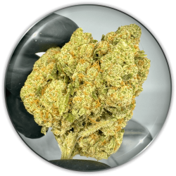 CBD Flowers "Y Griega CBD 2.0"