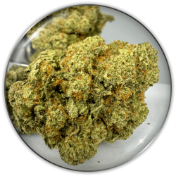 Fleurs de CBD "Y Griega CBD 2.0"