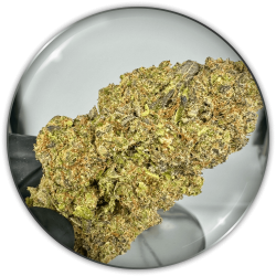 CBD Flowers "Strawberry Cake CBD"