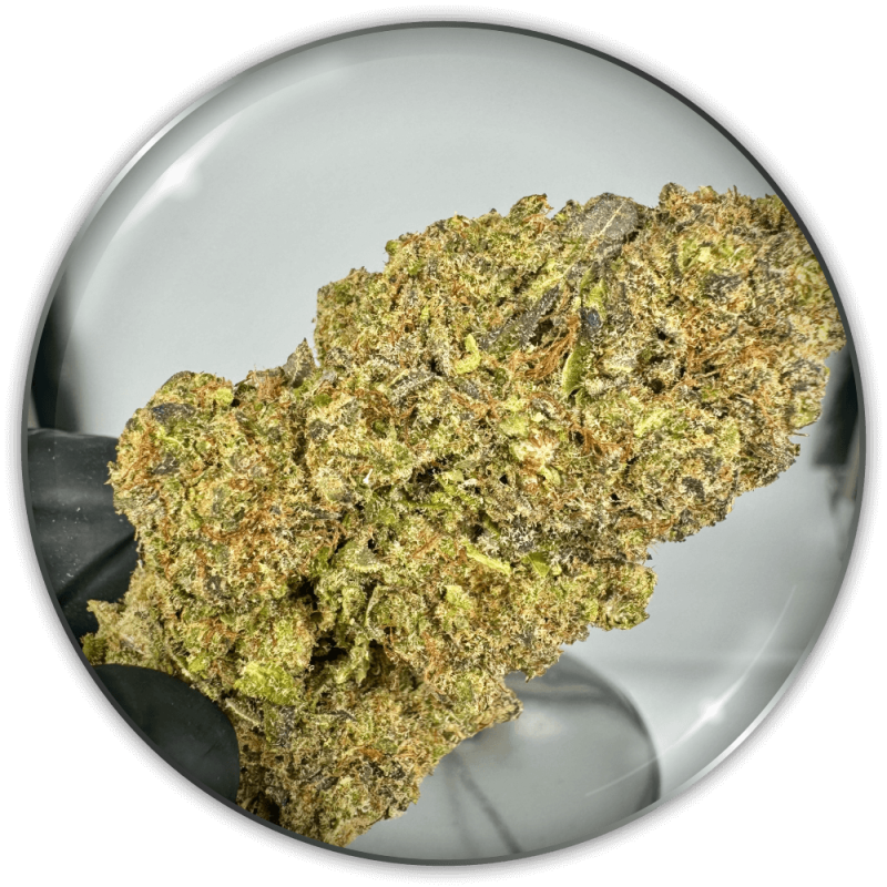 Flores de CBD "Strawberry Cake CBD"