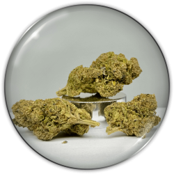 CBD Flowers "Strawberry Cake CBD"