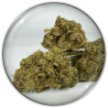 Blumen CBD "Medical Grape CBD"