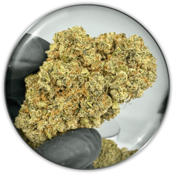 CBD Flowers "Medical Grape CBD"