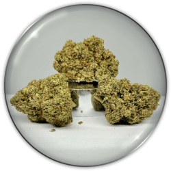 Blumen CBD "Medical Grape CBD"