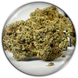 CBD Flowers "Medical Grape CBD"